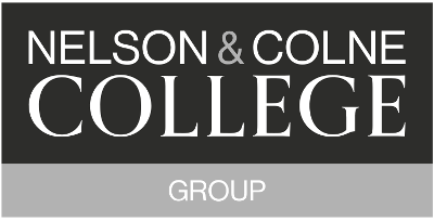 Nelson Group Logo